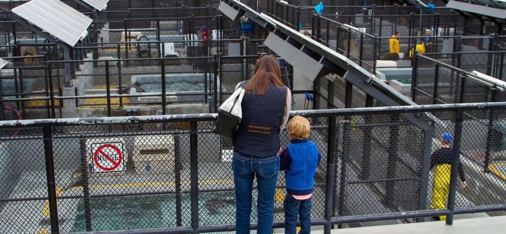 Marine Mammal Center, Marin Headlands