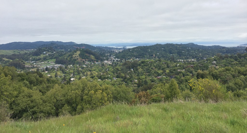 Bald Hill San Anselmo